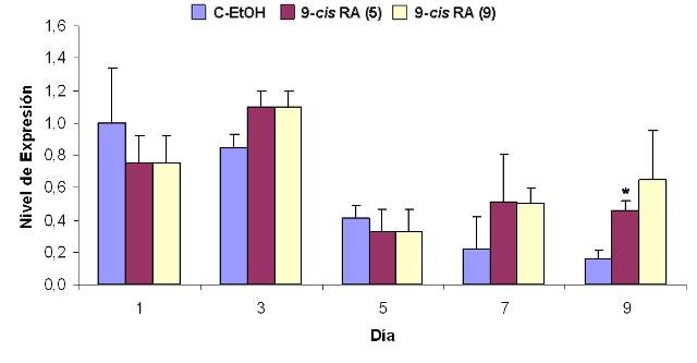 Figura 8. Efecto del tratamiento con 9-cis RA sobre la expresin de ID2 en clulas IMR-32. Se representan los niveles de expresin relativa de ID2 con respecto al control interno GAPDH (expresados como 2-ΔΔCt) frente a los das de tratamiento. (9) indica exposicin al 9-cis RA durante 9 das. (5) indica exposicin al 9-cis RA durante los 5 primeros das de tratamiento. Los valores que se muestran (media  SEM) se calcularon a partir de los resultados obtenidos tras la realizacin de 3 experimentos realizados por triplicado. Los asteriscos indican diferencias significativas con respecto al control en cada da de tratamiento (*, p< 0,05).
